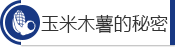玉米木薯的秘密 玉米木薯的秘密